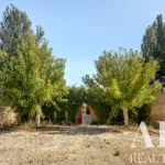Farmhouse for sale in Dois Portos, Torres Vedras, Greater Lisbon • ARE-90218 - gallery image