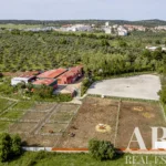 Farmhouse for sale in Assunção, Ajuda, Salvador e Santo Ildefonso, Elvas, Portalegre &bull; ARE-79187 - gallery image