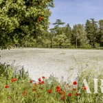 Farmhouse for sale in Assunção, Ajuda, Salvador e Santo Ildefonso, Elvas, Portalegre &bull; ARE-79187 - gallery image