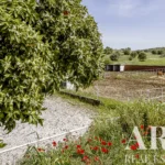 Farmhouse for sale in Assunção, Ajuda, Salvador e Santo Ildefonso, Elvas, Portalegre &bull; ARE-79187 - gallery image