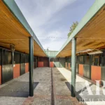 Farmhouse for sale in Assunção, Ajuda, Salvador e Santo Ildefonso, Elvas, Portalegre &bull; ARE-79187 - gallery image