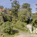 Farmhouse for sale in S.Maria e S.Miguel, S.Martinho, S.Pedro Penaferrim, Sintra, Greater Lisbon • ARE-77659 - gallery image
