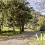 Farmhouse for sale in S.Maria e S.Miguel, S.Martinho, S.Pedro Penaferrim, Sintra, Greater Lisbon • ARE-77659 - gallery image